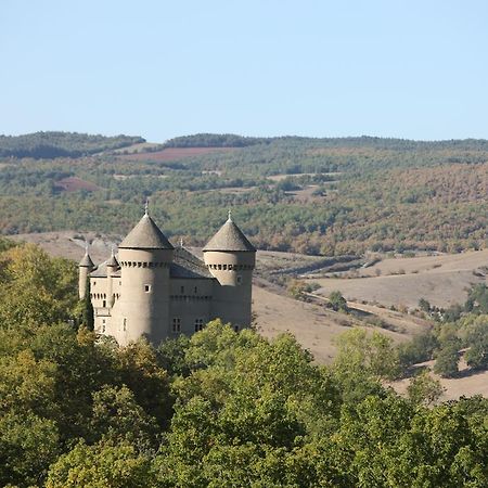 Chateau De Lugagnac Rivière-sur-Tarn Eksteriør bilde