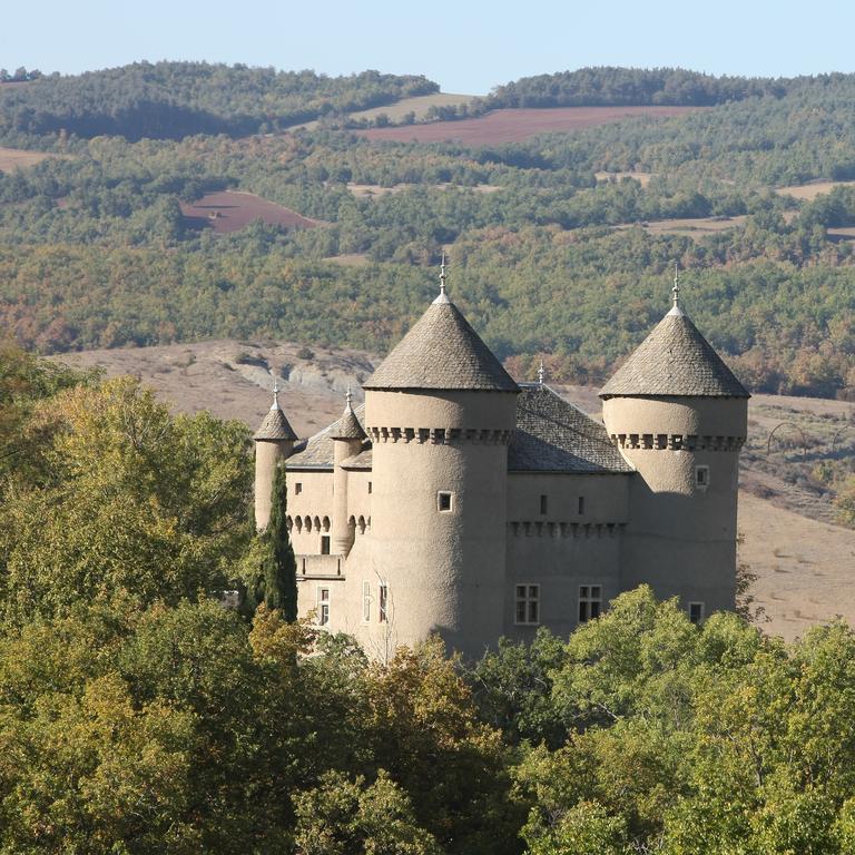 Chateau De Lugagnac Rivière-sur-Tarn Eksteriør bilde